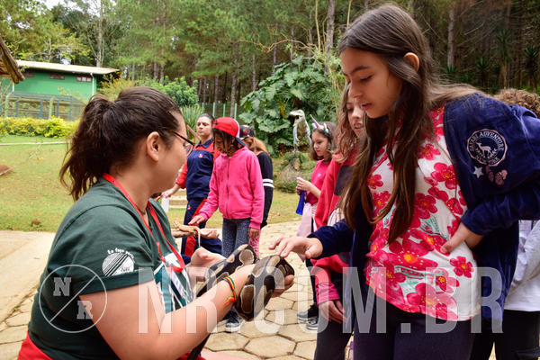 Buy your photos of the eventNR1 - Cl�ssico de 15 a 17/08/18 on Fotop