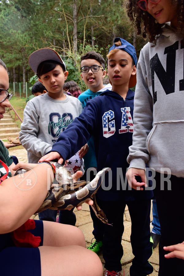 Buy your photos of the eventNR1 - Cl�ssico de 15 a 17/08/18 on Fotop