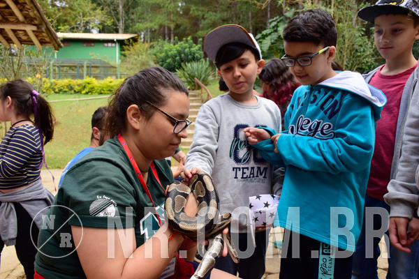 Buy your photos of the eventNR1 - Cl�ssico de 15 a 17/08/18 on Fotop