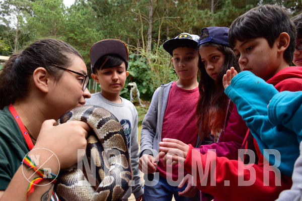 Buy your photos of the eventNR1 - Cl�ssico de 15 a 17/08/18 on Fotop