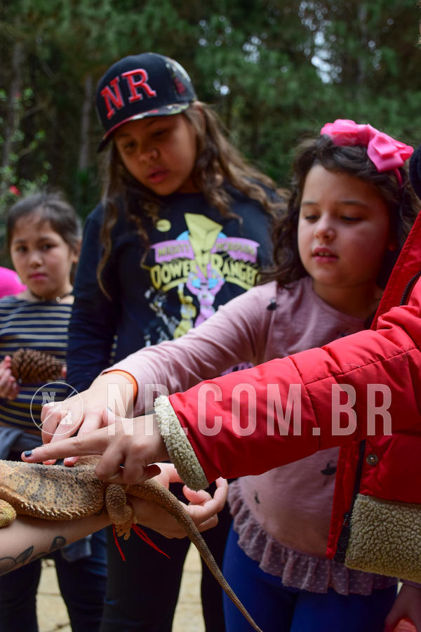 Buy your photos of the eventNR1 - Cl�ssico de 15 a 17/08/18 on Fotop