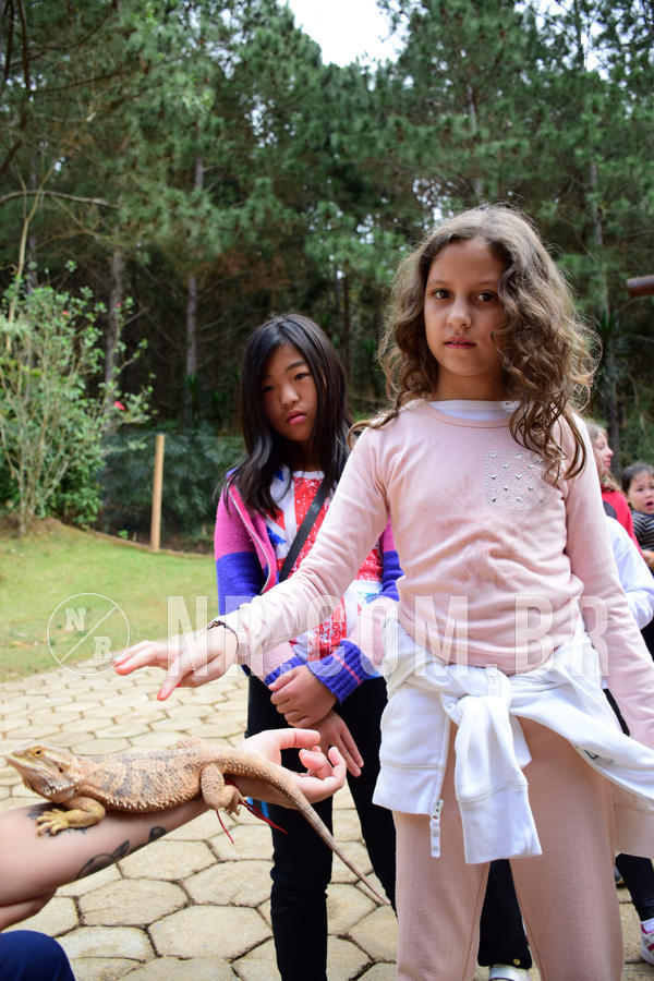 Buy your photos of the eventNR1 - Cl�ssico de 15 a 17/08/18 on Fotop