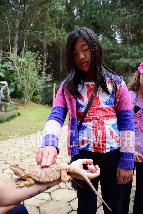 Buy your photos of the eventNR1 - Cl�ssico de 15 a 17/08/18 on Fotop