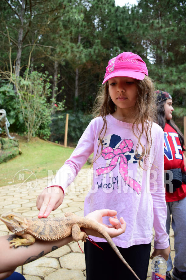 Buy your photos of the eventNR1 - Cl�ssico de 15 a 17/08/18 on Fotop