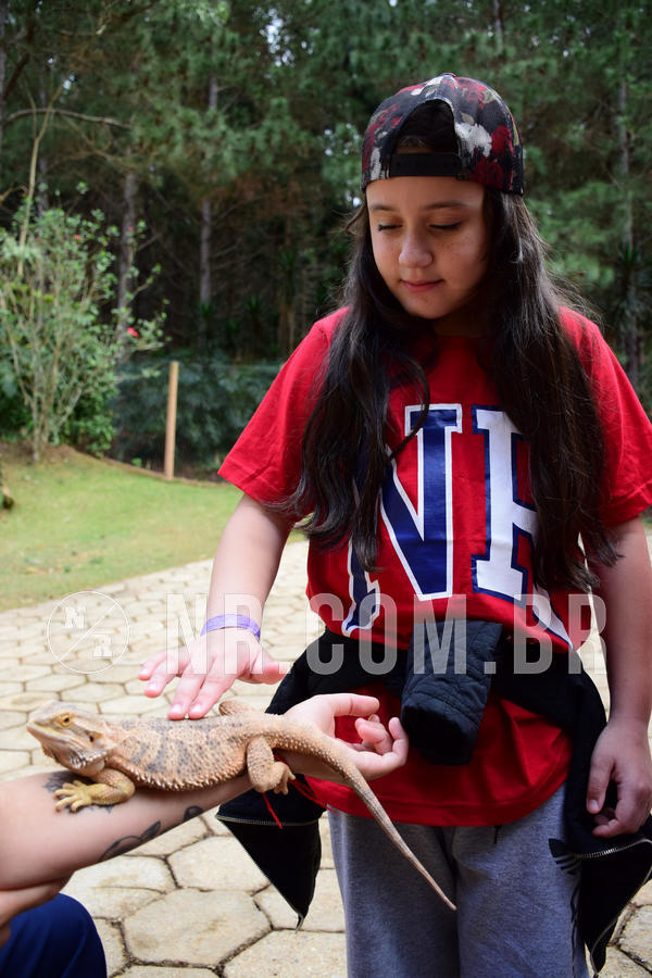 Buy your photos of the eventNR1 - Cl�ssico de 15 a 17/08/18 on Fotop