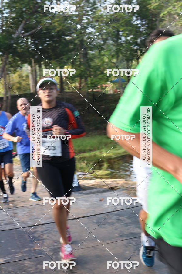 Buy your photos of the event10 MILLHAS ETAPA ACQUA PARK 2018 on Fotop