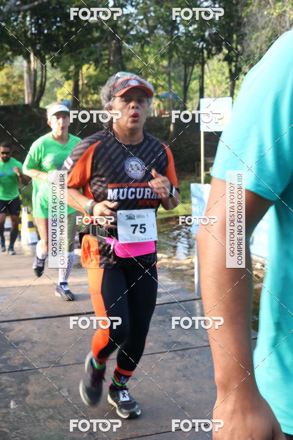 Buy your photos of the event10 MILLHAS ETAPA ACQUA PARK 2018 on Fotop