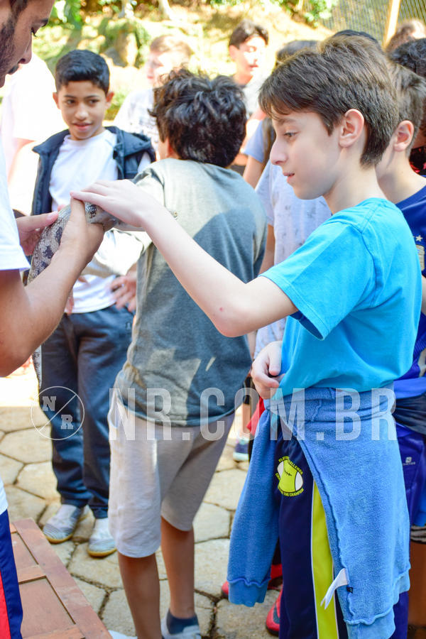 Buy your photos of the eventNR1 - English & Action  19 a 22/08/18 on Fotop