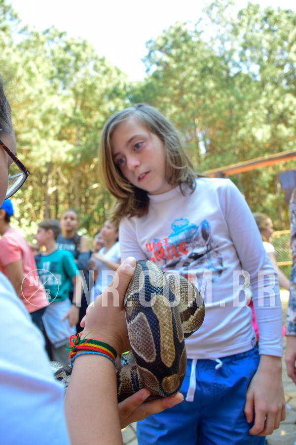 Buy your photos of the eventNR1 - English & Action  19 a 22/08/18 on Fotop