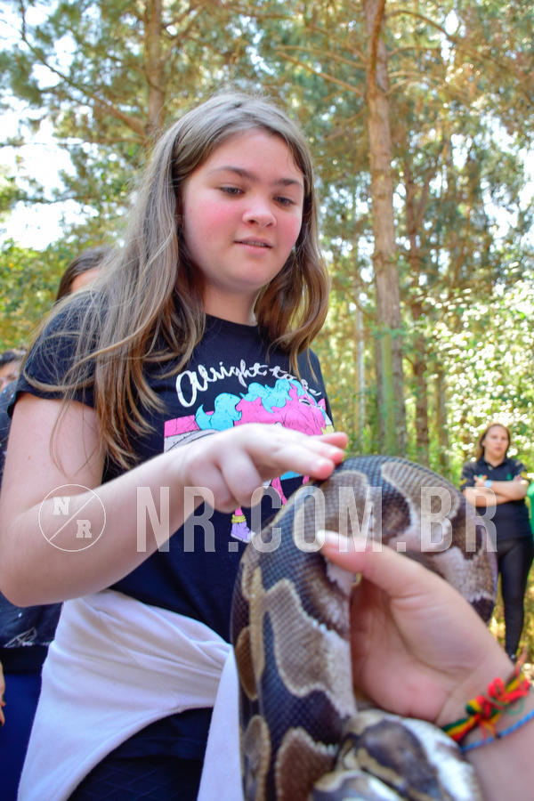 Buy your photos of the eventNR1 - English & Action  19 a 22/08/18 on Fotop