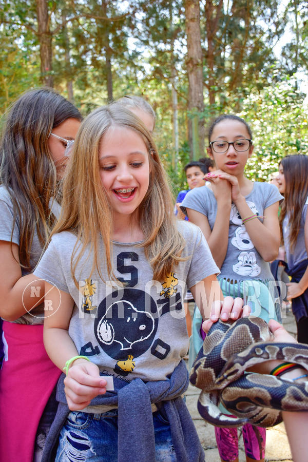 Buy your photos of the eventNR1 - English & Action  19 a 22/08/18 on Fotop