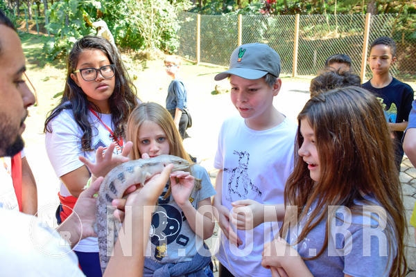 Buy your photos of the eventNR1 - English & Action  19 a 22/08/18 on Fotop