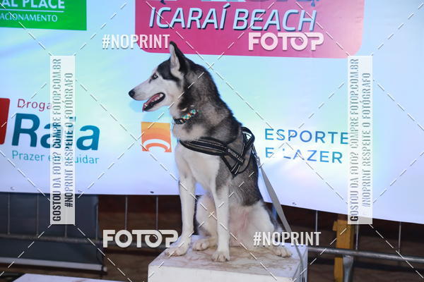 Compre as suas fotos do eventoNIGHT RUN ICARA� BEACH - 6� EDI��O - NITER�I RJ no Fotop