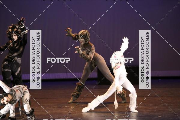 Buy your photos of the eventXI TABOO FEST DANCE on Fotop