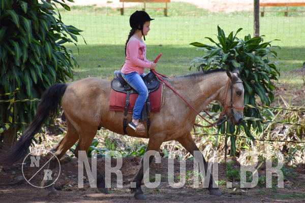 Buy your photos of the eventNR1 - Day Camp  28/08/18 on Fotop