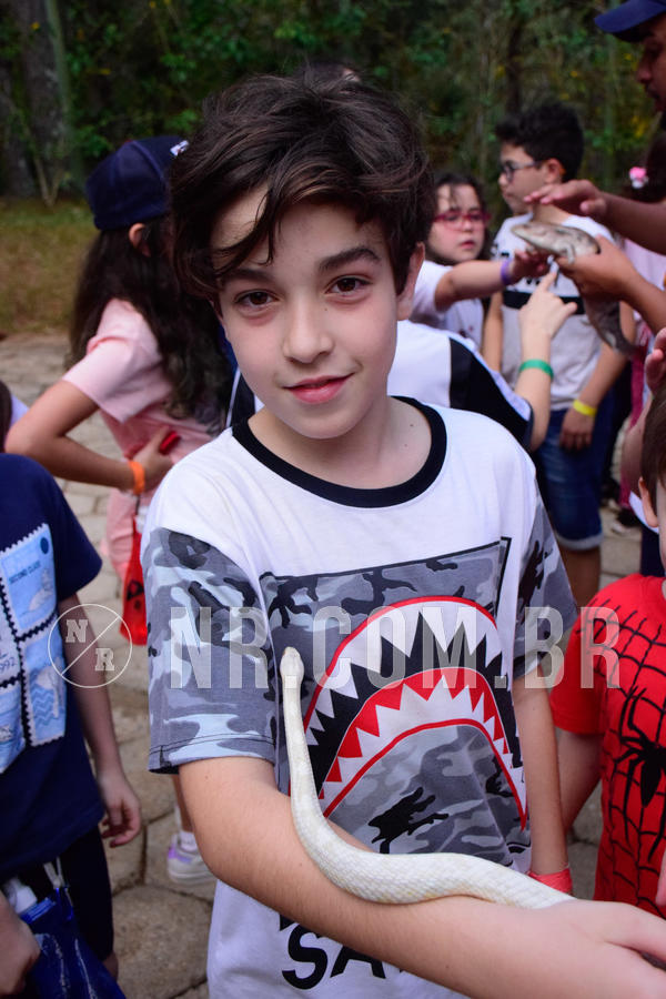 Buy your photos of the eventNR1 - English & Action de 31 a 02/09/18 on Fotop