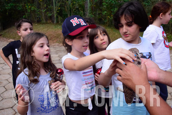 Buy your photos of the eventNR1 - English & Action de 31 a 02/09/18 on Fotop