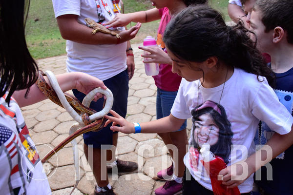 Buy your photos of the eventNR1 - English & Action de 31 a 02/09/18 on Fotop