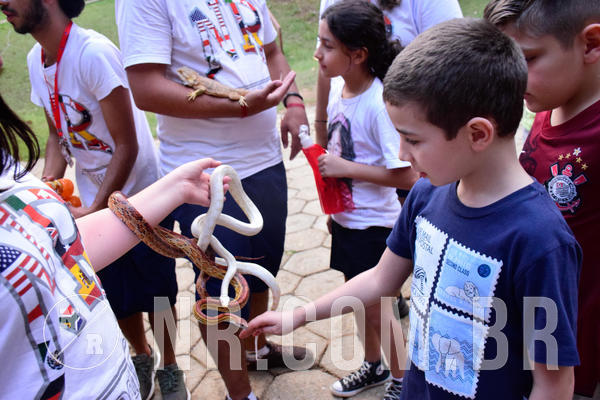 Buy your photos of the eventNR1 - English & Action de 31 a 02/09/18 on Fotop