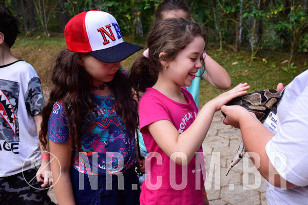 Buy your photos of the eventNR1 - English & Action de 31 a 02/09/18 on Fotop