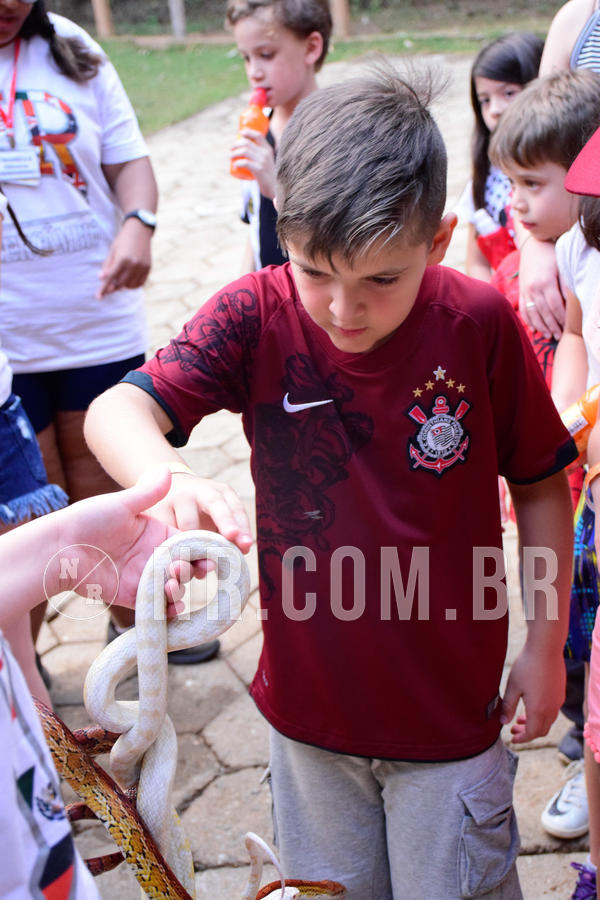 Buy your photos of the eventNR1 - English & Action de 31 a 02/09/18 on Fotop