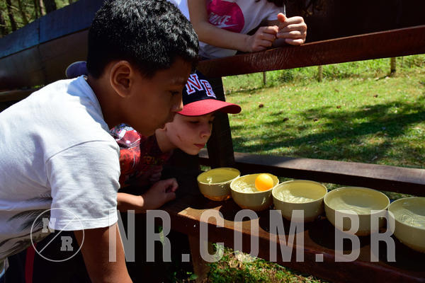 Buy your photos of the eventNR1 - English & Action de 31 a 02/09/18 on Fotop