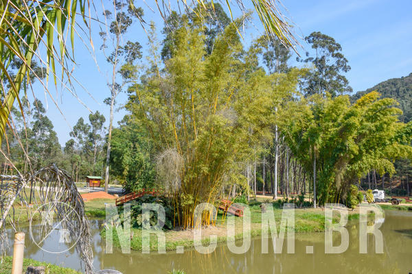 Buy your photos of the eventNR Sun - 02 A 05/09/18 on Fotop