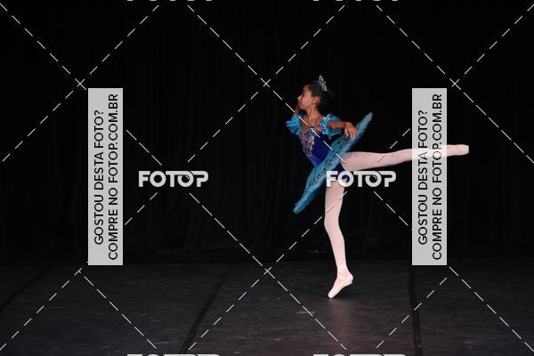 Buy your photos of the event XII FESTIVAL DE DANAS PETIT PASS ( SBADO ) on Fotop