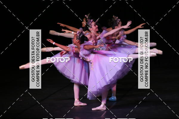 Buy your photos of the event XII FESTIVAL DE DANAS PETIT PASS ( SBADO ) on Fotop