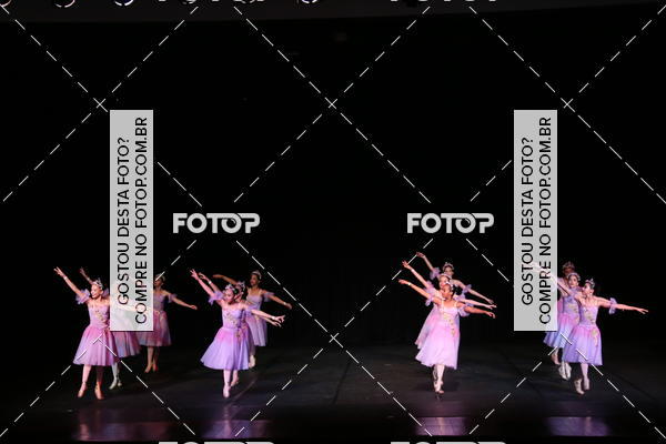 Buy your photos of the event XII FESTIVAL DE DANAS PETIT PASS ( SBADO ) on Fotop