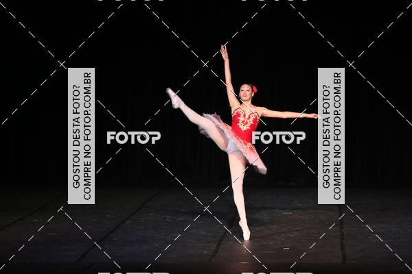Buy your photos of the event XII FESTIVAL DE DANAS PETIT PASS ( SBADO ) on Fotop