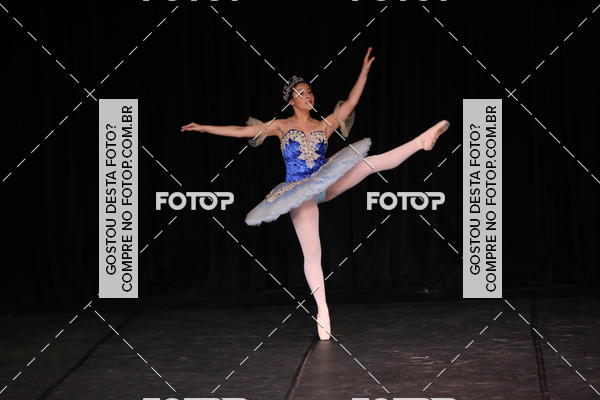Buy your photos of the event XII FESTIVAL DE DANAS PETIT PASS ( SBADO ) on Fotop