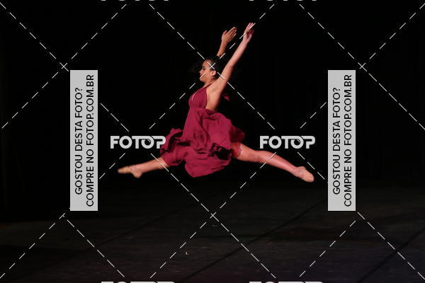 Buy your photos of the event XII FESTIVAL DE DANAS PETIT PASS ( SBADO ) on Fotop
