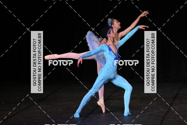 Buy your photos of the event XII FESTIVAL DE DANAS PETIT PASS ( SBADO ) on Fotop