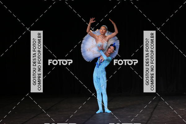 Buy your photos of the event XII FESTIVAL DE DANAS PETIT PASS ( SBADO ) on Fotop