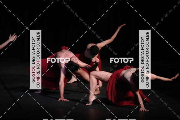 Buy your photos of the eventXII FESTIVAL DE DANAS PETIT PASS (DOMINGO) on Fotop