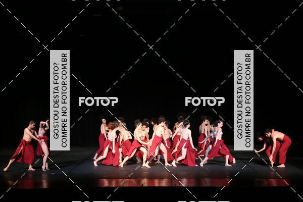 Buy your photos of the eventXII FESTIVAL DE DANAS PETIT PASS (DOMINGO) on Fotop