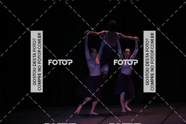 Buy your photos of the eventXII FESTIVAL DE DANAS PETIT PASS (DOMINGO) on Fotop