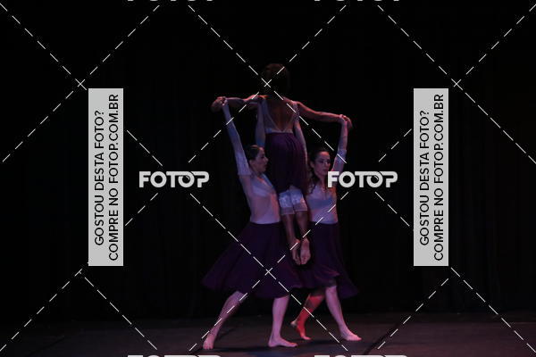 Buy your photos of the eventXII FESTIVAL DE DANAS PETIT PASS (DOMINGO) on Fotop