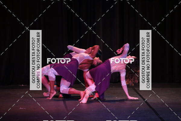 Buy your photos of the eventXII FESTIVAL DE DANAS PETIT PASS (DOMINGO) on Fotop