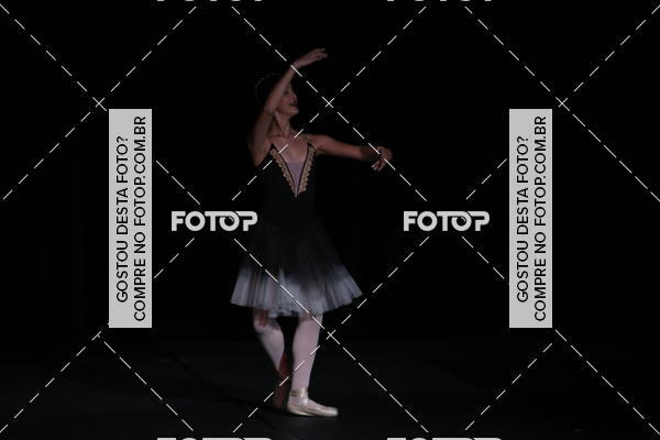 Buy your photos of the eventXII FESTIVAL DE DANAS PETIT PASS (DOMINGO) on Fotop