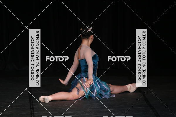 Buy your photos of the eventXII FESTIVAL DE DANAS PETIT PASS (DOMINGO) on Fotop