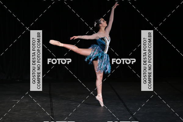 Buy your photos of the eventXII FESTIVAL DE DANAS PETIT PASS (DOMINGO) on Fotop