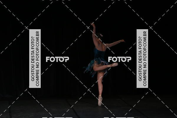 Buy your photos of the eventXII FESTIVAL DE DANAS PETIT PASS (DOMINGO) on Fotop