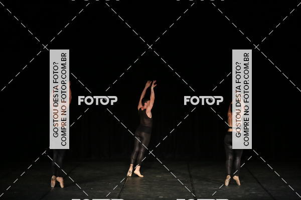 Buy your photos of the eventXII FESTIVAL DE DANAS PETIT PASS (DOMINGO) on Fotop