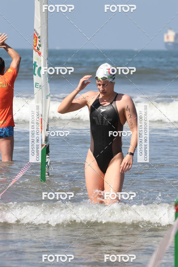 Buy your photos of the event5 Campeonato Santista de guas Abertas 2018 on Fotop