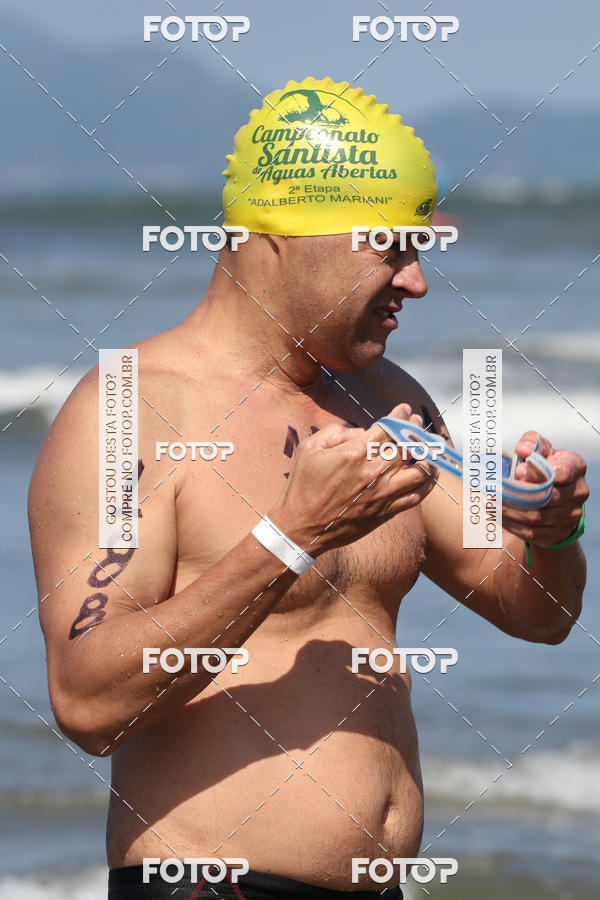 Buy your photos of the event5 Campeonato Santista de guas Abertas 2018 on Fotop