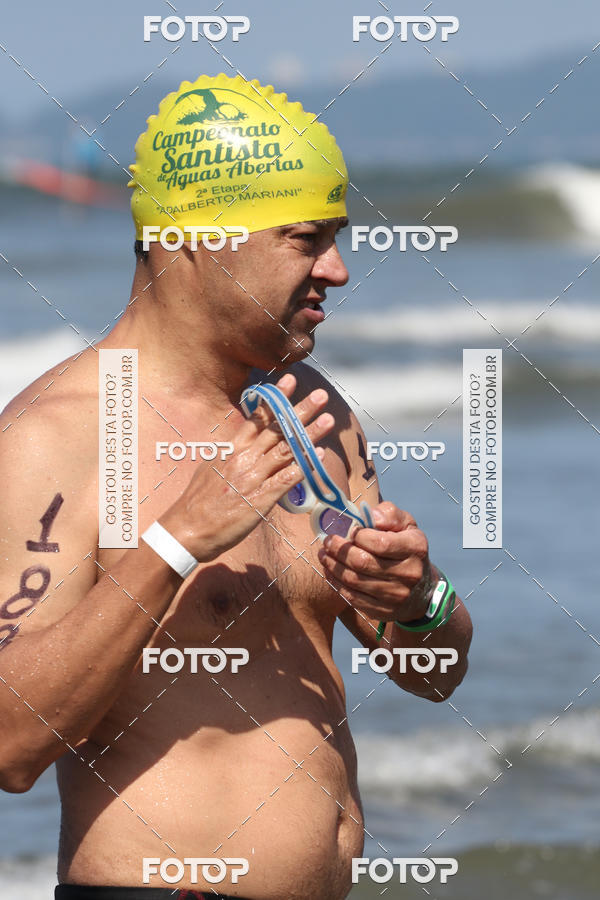 Buy your photos of the event5 Campeonato Santista de guas Abertas 2018 on Fotop