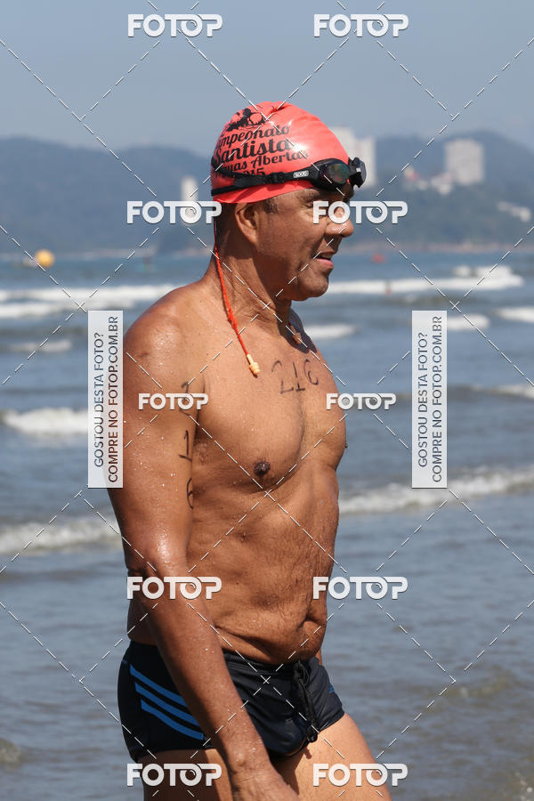 Buy your photos of the event5 Campeonato Santista de guas Abertas 2018 on Fotop