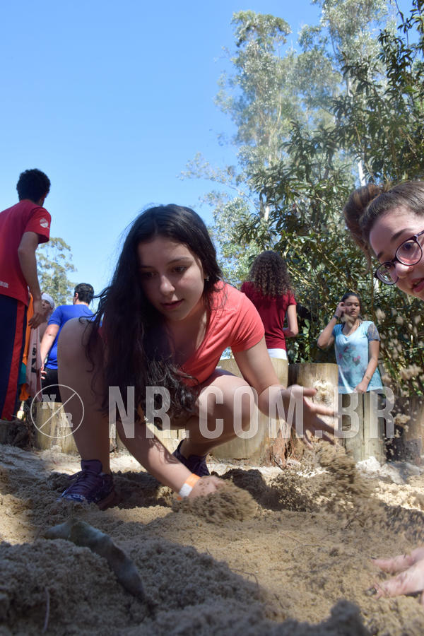 Buy your photos of the eventNR Sun - 05 A 09/09/18 on Fotop